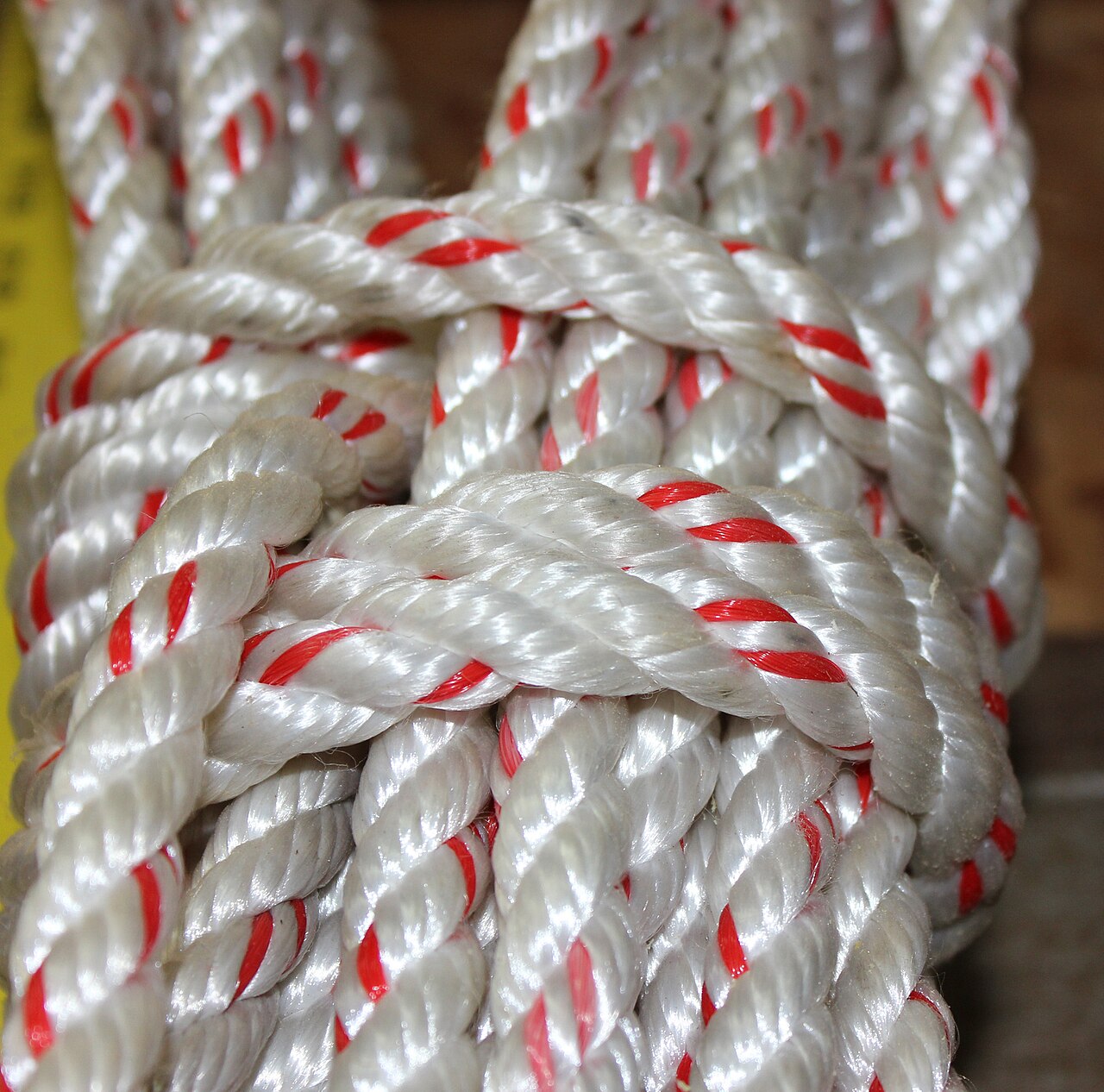 A coil of white nylon rope